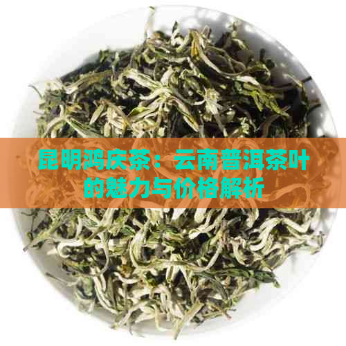 昆明鸿庆茶：云南普洱茶叶的魅力与价格解析