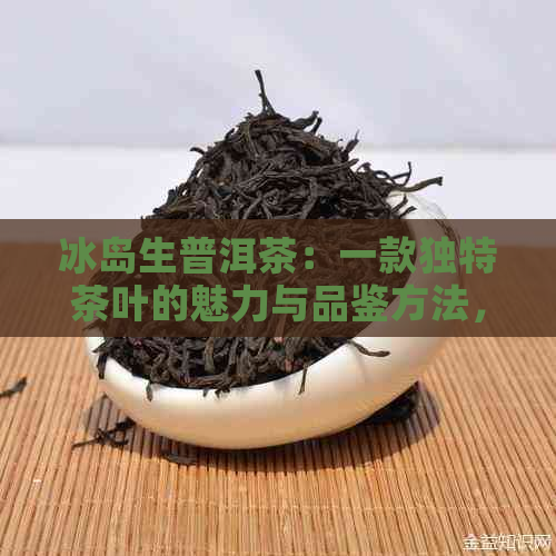 冰岛生普洱茶：一款独特茶叶的魅力与品鉴方法，让你全面了解冰岛茶文化