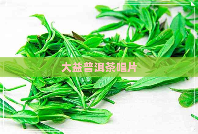 大益普洱茶唱片