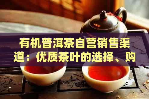 有机普洱茶自营销售渠道：优质茶叶的选择、购买与品尝全方位指南