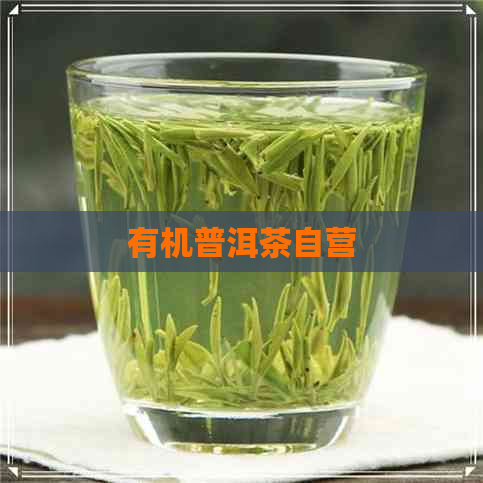 有机普洱茶自营