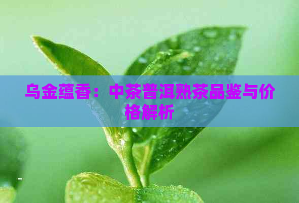 乌金蕴香：中茶普洱熟茶品鉴与价格解析