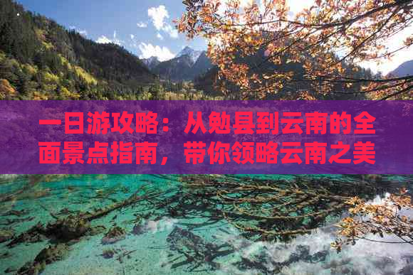 一日游攻略：从勉县到云南的全面景点指南，带你领略云南之美