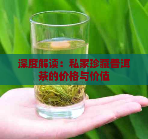 深度解读：私家珍藏普洱茶的价格与价值