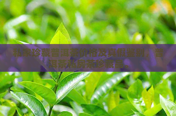 私家珍藏普洱茶价格及真假鉴别，普洱茶私房茶珍藏品。