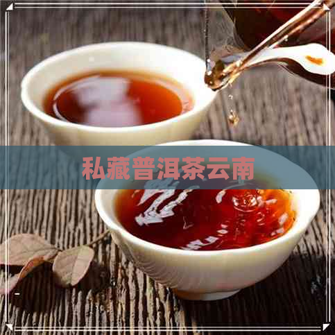 私藏普洱茶云南