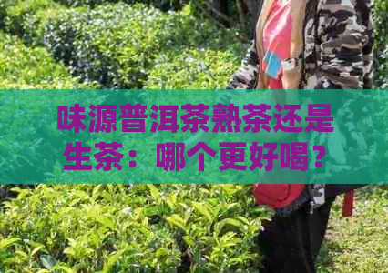 味源普洱茶熟茶还是生茶：哪个更好喝？