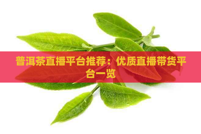 普洱茶直播平台推荐：优质直播带货平台一览