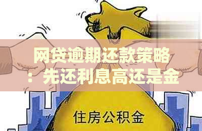 网贷逾期还款策略：先还利息高还是金额大？解答用户疑惑，提供全面解决方案