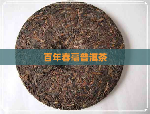 百年春毫普洱茶