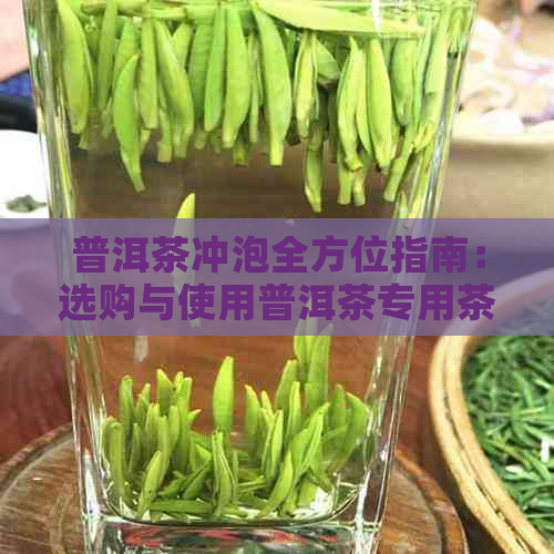 普洱茶冲泡全方位指南：选购与使用普洱茶专用茶具的必要性与技巧