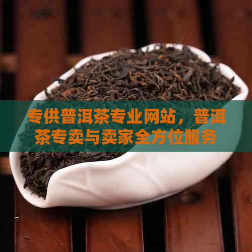 专供普洱茶专业网站，普洱茶专卖与卖家全方位服务