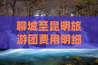 聊城至昆明旅游团费用明细及报价参考，探寻更佳旅行方案与费用预算