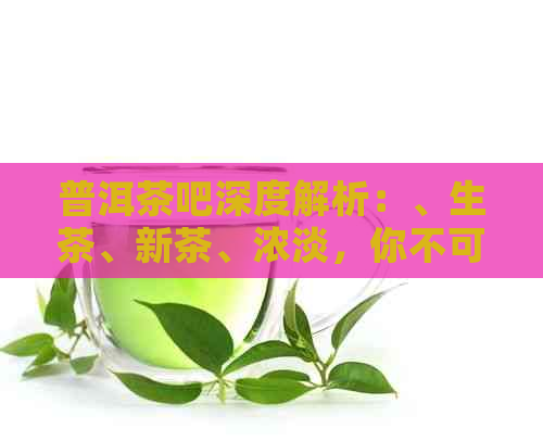 普洱茶吧深度解析：、生茶、新茶、浓淡，你不可不知的推荐