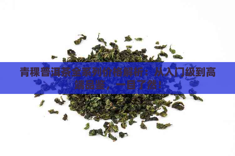 青稞普洱茶全系列价格解析：从入门级到高端品鉴，一目了然！