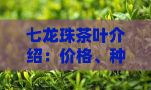 七龙珠茶叶介绍：价格、种类、由来、茶饭搭配及饮茶方法