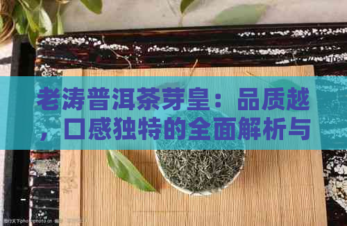 老涛普洱茶芽皇：品质越，口感独特的全面解析与品鉴指南