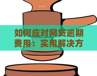 如何应对网贷逾期费用：实用解决方案与建议