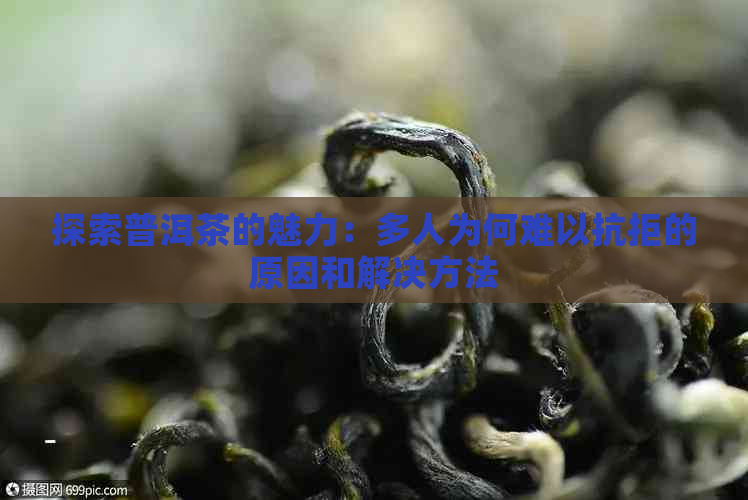 探索普洱茶的魅力：多人为何难以抗拒的原因和解决方法