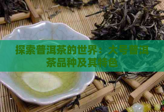 探索普洱茶的世界：大号普洱茶品种及其特色