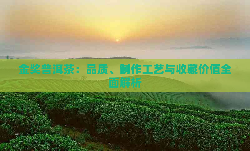 金奖普洱茶：品质、制作工艺与收藏价值全面解析