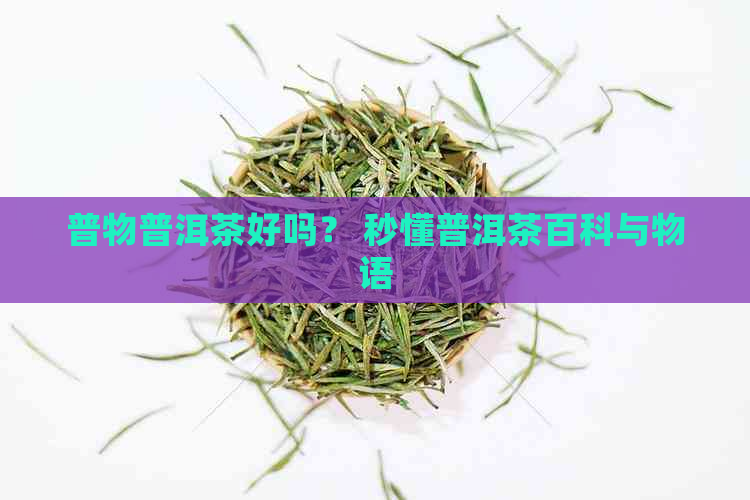 普物普洱茶好吗？ 秒懂普洱茶百科与物语