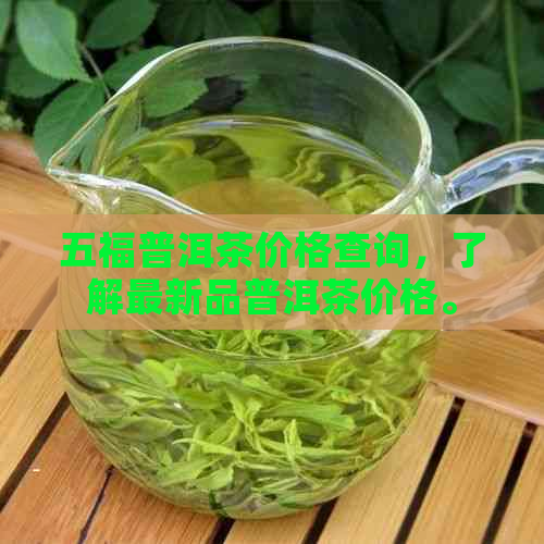 五福普洱茶价格查询，了解最新品普洱茶价格。