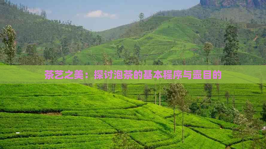 茶艺之美：探讨泡茶的基本程序与壶目的