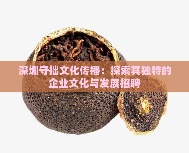 深圳守拙文化传播：探索其独特的企业文化与发展招聘