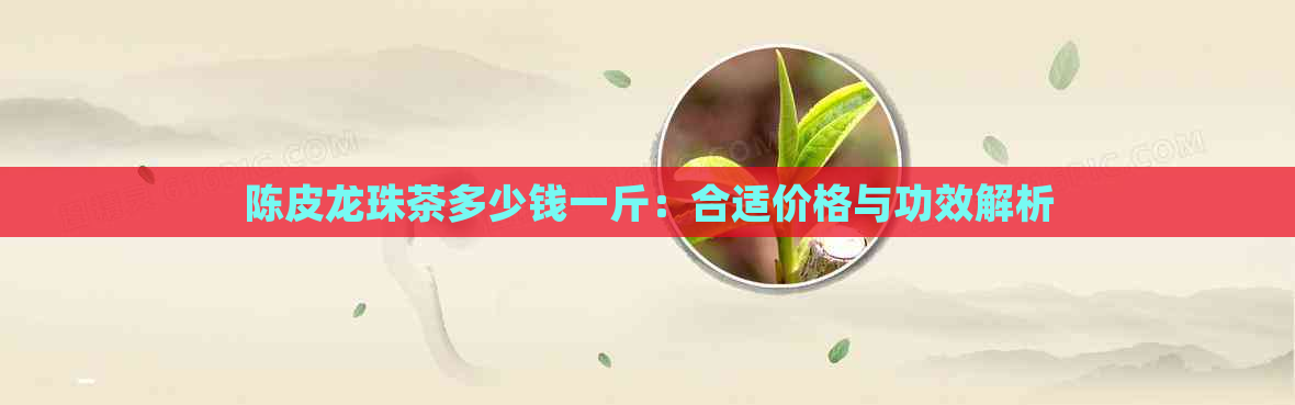 陈皮龙珠茶多少钱一斤：合适价格与功效解析