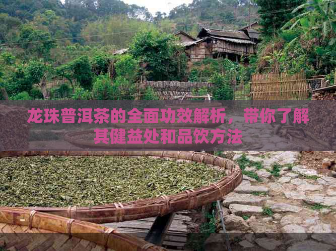 龙珠普洱茶的全面功效解析，带你了解其健益处和品饮方法