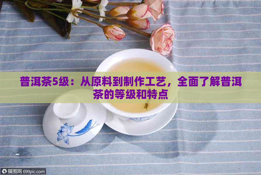 普洱茶5级：从原料到制作工艺，全面了解普洱茶的等级和特点