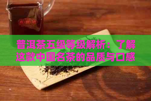 普洱茶五级等级解析：了解这款中国名茶的品质与口感关键