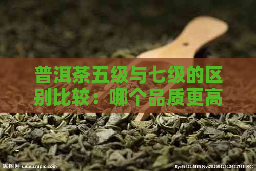 普洱茶五级与七级的区别比较：哪个品质更高？