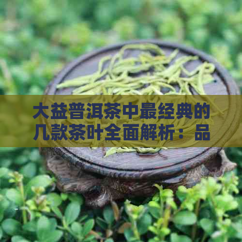 大益普洱茶中最经典的几款茶叶全面解析：品质、口感与收藏价值一网打尽！