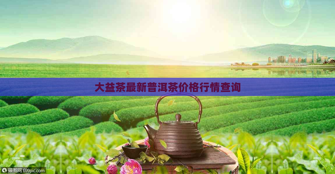 大益茶最新普洱茶价格行情查询