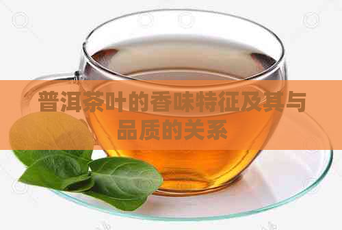 普洱茶叶的香味特征及其与品质的关系