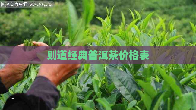 则道经典普洱茶价格表