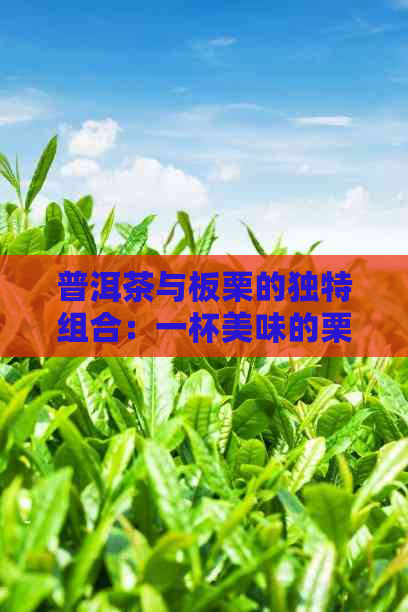 普洱茶与板栗的独特组合：一杯美味的栗子普洱茶能否食用？