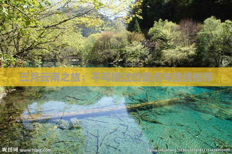 三月云南之旅：不可错过的景点与路线推荐