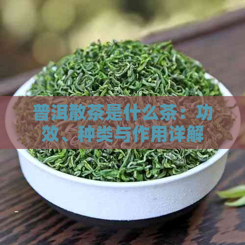 普洱散茶是什么茶：功效、种类与作用详解