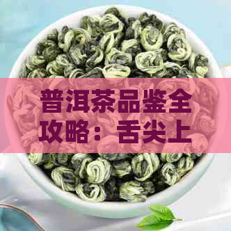 普洱茶品鉴全攻略：舌尖上的普洱茶，带你领略千年古树的味道