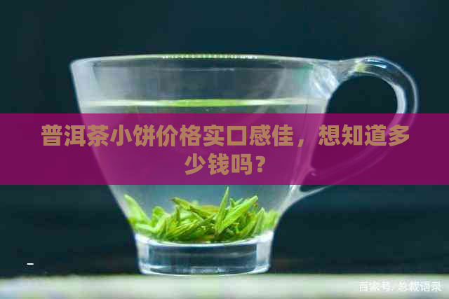 普洱茶小饼价格实口感佳，想知道多少钱吗？