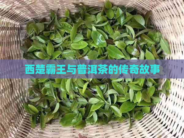 西楚霸王与普洱茶的传奇故事