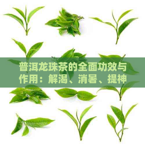 普洱龙珠茶的全面功效与作用：解渴、消暑、提神、降脂等多方面益处解析