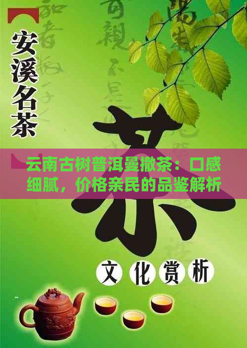 云南古树普洱曼撤茶：口感细腻，价格亲民的品鉴解析