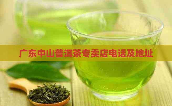 广东中山普洱茶专卖店电话及地址