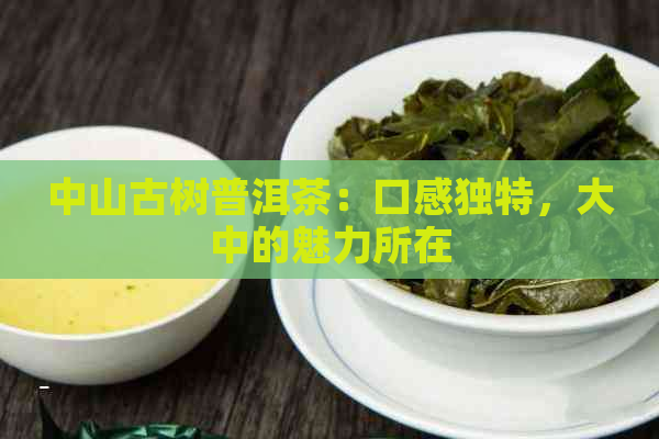 中山古树普洱茶：口感独特，大中的魅力所在