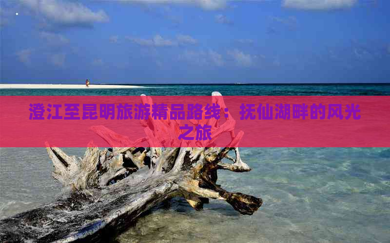 澄江至昆明旅游精品路线：抚仙湖畔的风光之旅