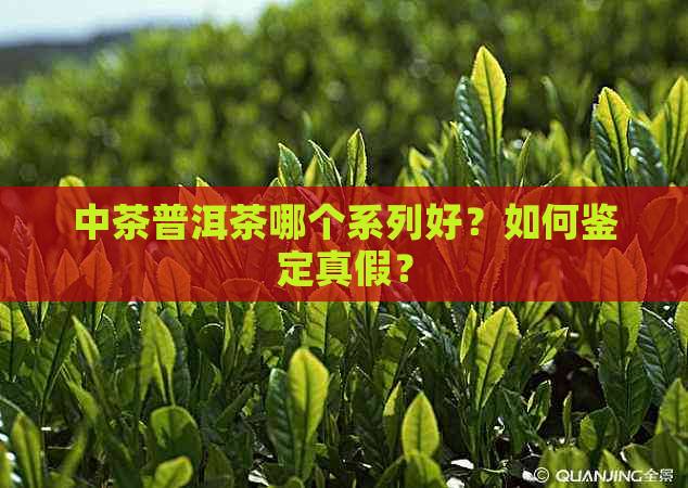 中茶普洱茶哪个系列好？如何鉴定真假？